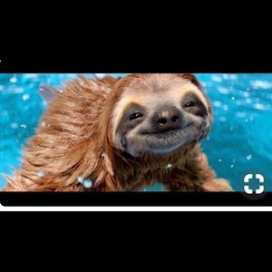 Meet your Posher, Diana